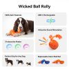 Wicked Ball Rolly Interactive Rope Toy