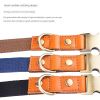 Padded Leather Dog Collar with Metal Buckle