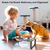 Elevated Dog Feeding Station with 4 Tilted Bowls