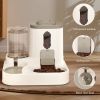 Smart Timed Feeder with Double Compartments