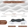 Memory Foam Orthopedic Bed for Large Dogs