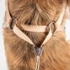 Faux-Fur Collar Harness & Leash Set