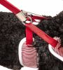 Candy Stripe Bowtie Harness & Leash Set