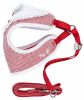 Candy Stripe Bowtie Harness & Leash Set