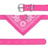 Bandana Collar with Triangle Scarf