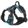 Rechargeable LED Light-Up No-Pull Harness