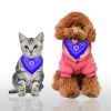 Bandana Collar with Triangle Scarf