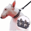 Spiked Studded Leather Collar