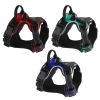 Rechargeable LED Light-Up No-Pull Harness