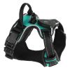 Rechargeable LED Light-Up No-Pull Harness
