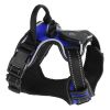 Rechargeable LED Light-Up No-Pull Harness
