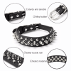 Spiked Studded Leather Collar
