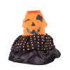 LED Light-Up Halloween Dress Costume