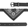 Bandana Collar with Triangle Scarf