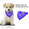 Bandana Collar with Triangle Scarf