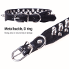Spiked Studded Leather Collar