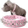 Spiked Studded Leather Collar