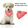 Bandana Collar with Triangle Scarf