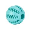 Squeaky Fetch Ball