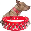 Studded Leather Dog Collar with Bonus Squeak Ball