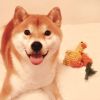Duck & Carrot Rope Tug Toy