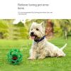 Bounce & Chase Hollow Fetch Ball