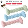 TPR Molar Chew Sticks, Set of 2