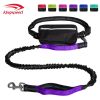 Hands-Free Bungee Leash with Zipper Pouch