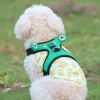 Frog Mesh Harness & Leash Set for Small Dogs