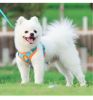Reflective Harness & Leash Set for Everyday Walks