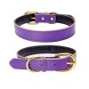 Padded Leather Dog Collar