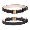 Padded Leather Dog Collar with Metal Buckle