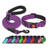 No-Pull Adjustable Walking Harness