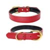 Padded Leather Dog Collar