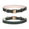 Padded Leather Dog Collar with Metal Buckle