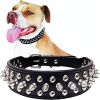 Studded Leather Dog Collar with Bonus Squeak Ball