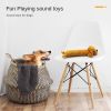 Squeaky Plush Chew Toy