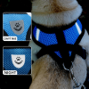 Reflective Adjustable Dog Harness