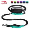 Hands-Free Bungee Leash with Zipper Pouch