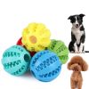 Squeaky Fetch Ball