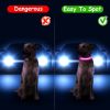 LED Light-Up Safety Collar, 9 Colors