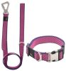 Escapade 2-in-1 Convertible Leash & Collar
