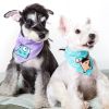 Bad-to-the-Bone Star Print Velcro Bandana