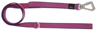 Escapade 2-in-1 Convertible Leash & Collar