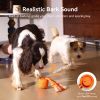 Wicked Ball Rolly Interactive Rope Toy