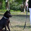 Graffiti Splash Waterproof Collar & Leash Set