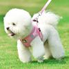 No-Pull Reflective Harness & Leash Set