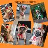 Coffee Plush Hooded Winter Coat