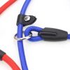 Adjustable Slip Rope Leash for Everyday Walks