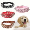Spiked Studded Leather Collar